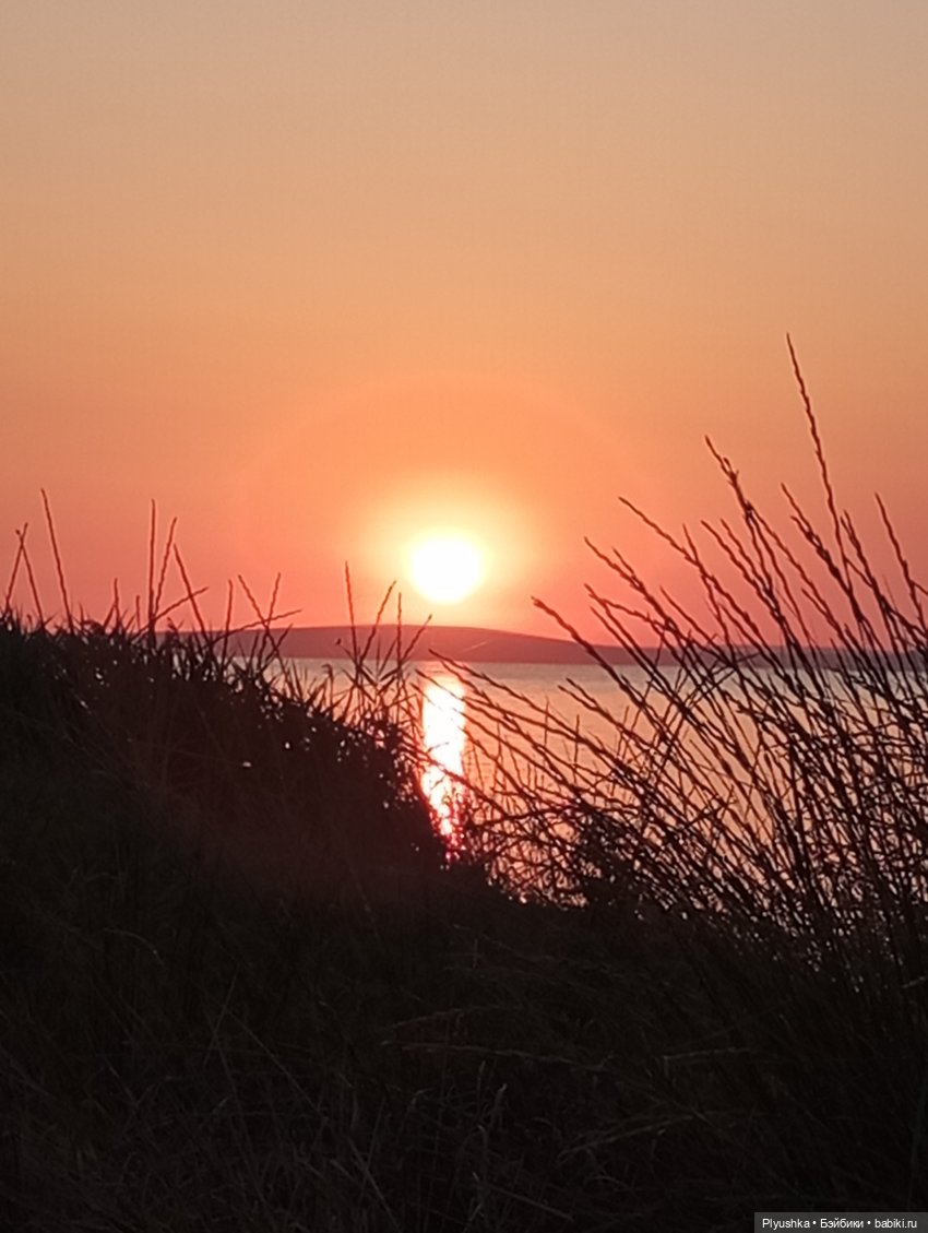 Южное путешествие Камелии (фото 6)