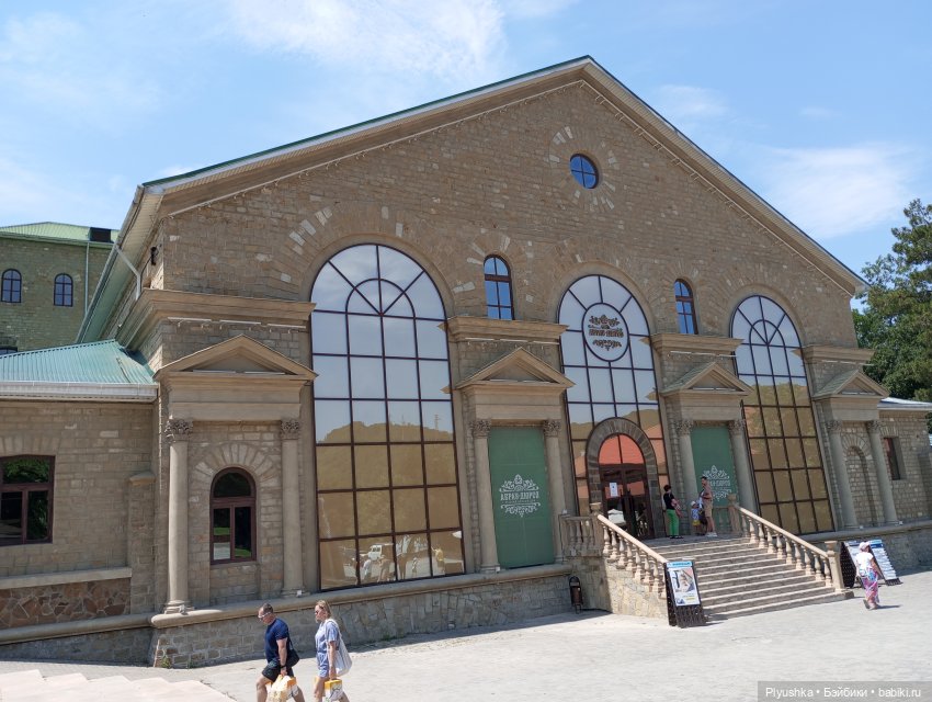 Южное путешествие Камелии