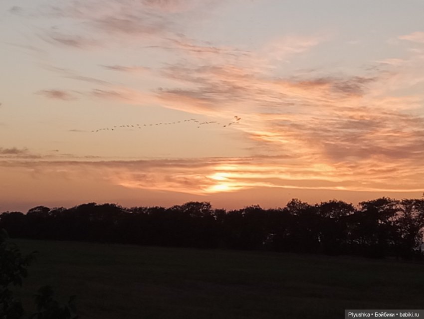Южное путешествие Камелии (фото 10)