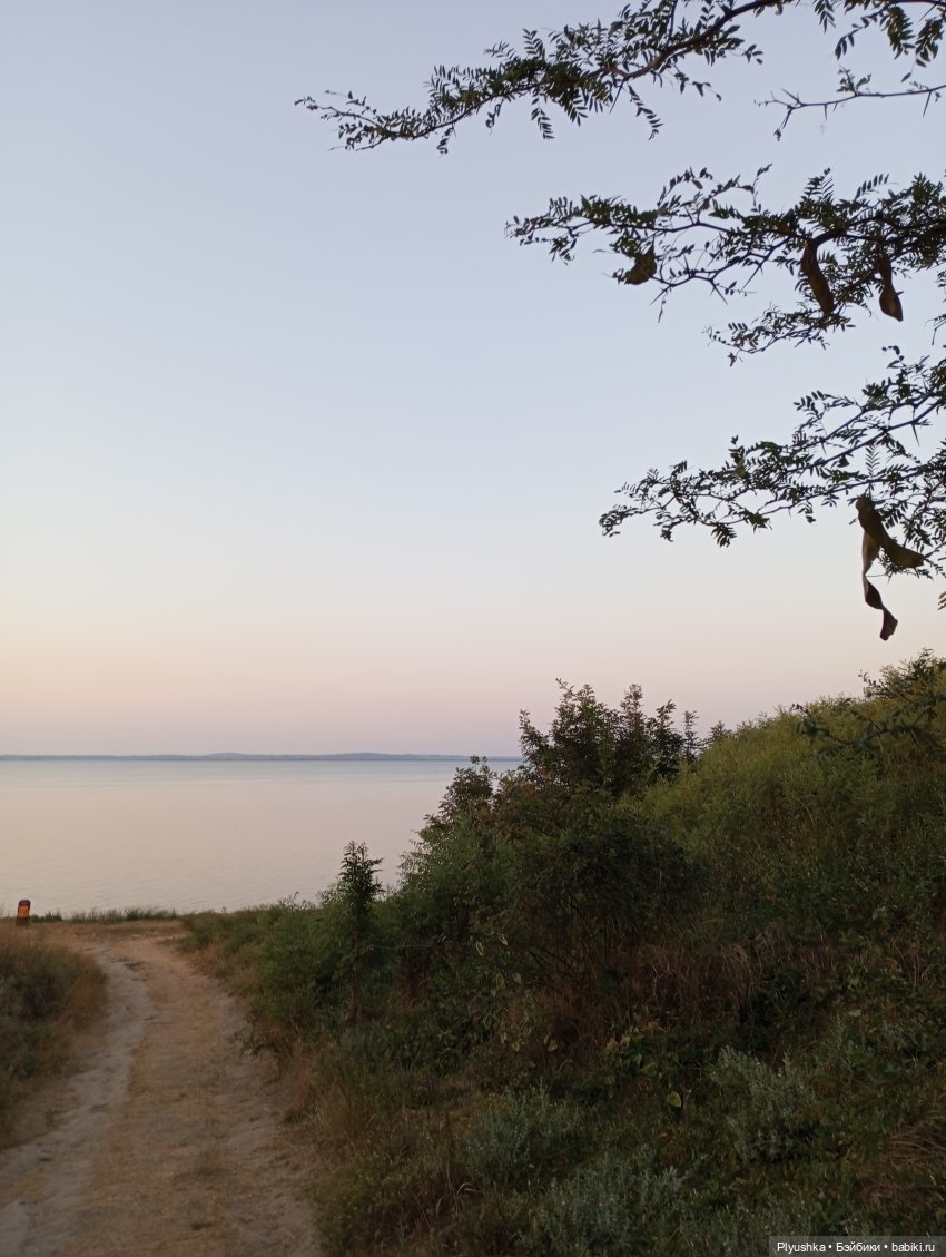 Южное путешествие Камелии (фото 2)