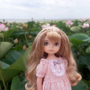 Эльфы Tootooshow Forest girl на юге. Ч.1 - Мила в долине лотосов