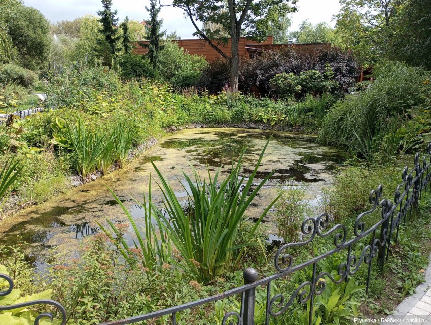 Лето Таллулы — Куклы Ruby Red (Руби Ред) Fashion Friends: Siblies (фото 2)