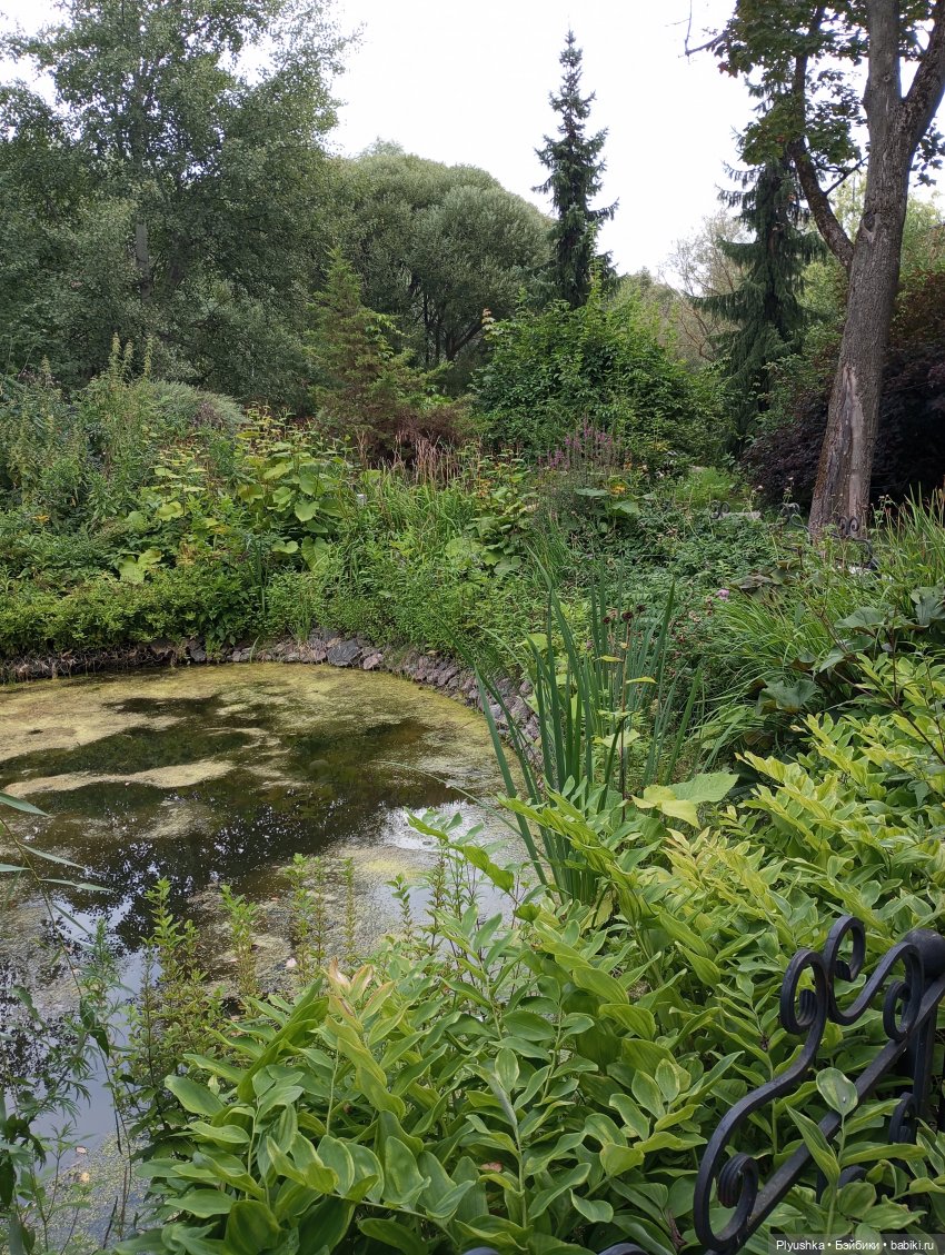 Лето Таллулы — Куклы Ruby Red (Руби Ред) Fashion Friends: Siblies (фото 3)