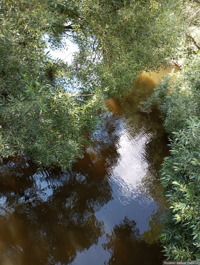 Лето Таллулы — Куклы Ruby Red (Руби Ред) Fashion Friends: Siblies (фото 8)