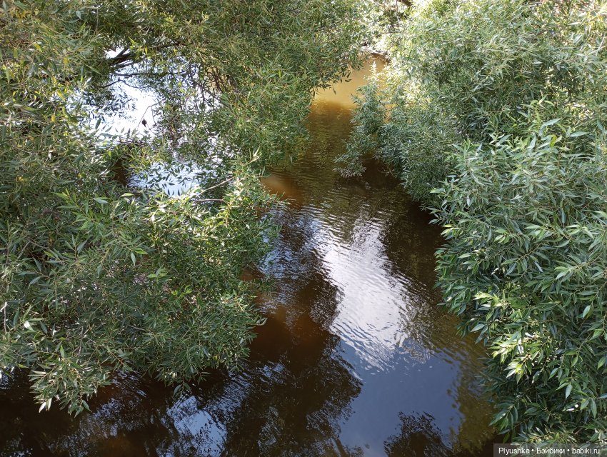 Лето Таллулы — Куклы Ruby Red (Руби Ред) Fashion Friends: Siblies (фото 9)