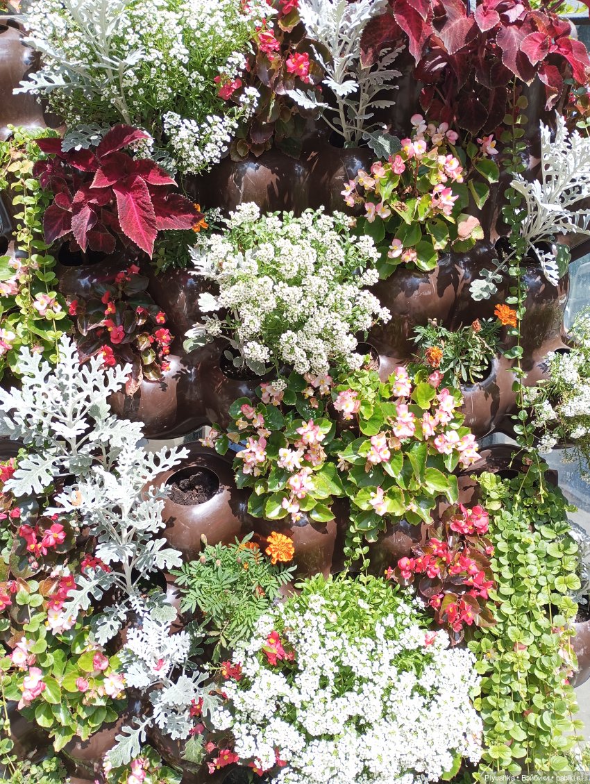 Уля в океанариуме — Куклы Nines d'Onil (Нинес): Миа (Mia)