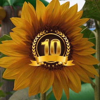 Юбилей, подсолнухи, КруглоКролики