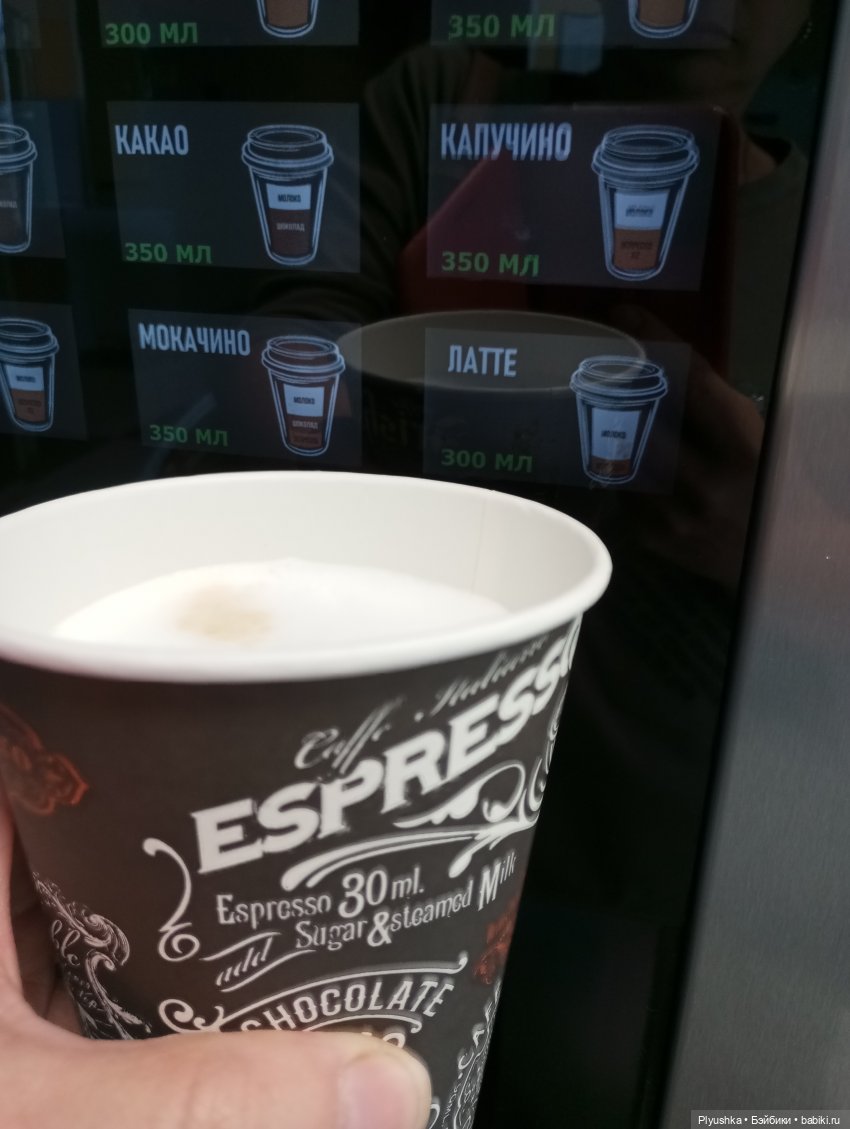 Латте — Кот Басик (фото 10)