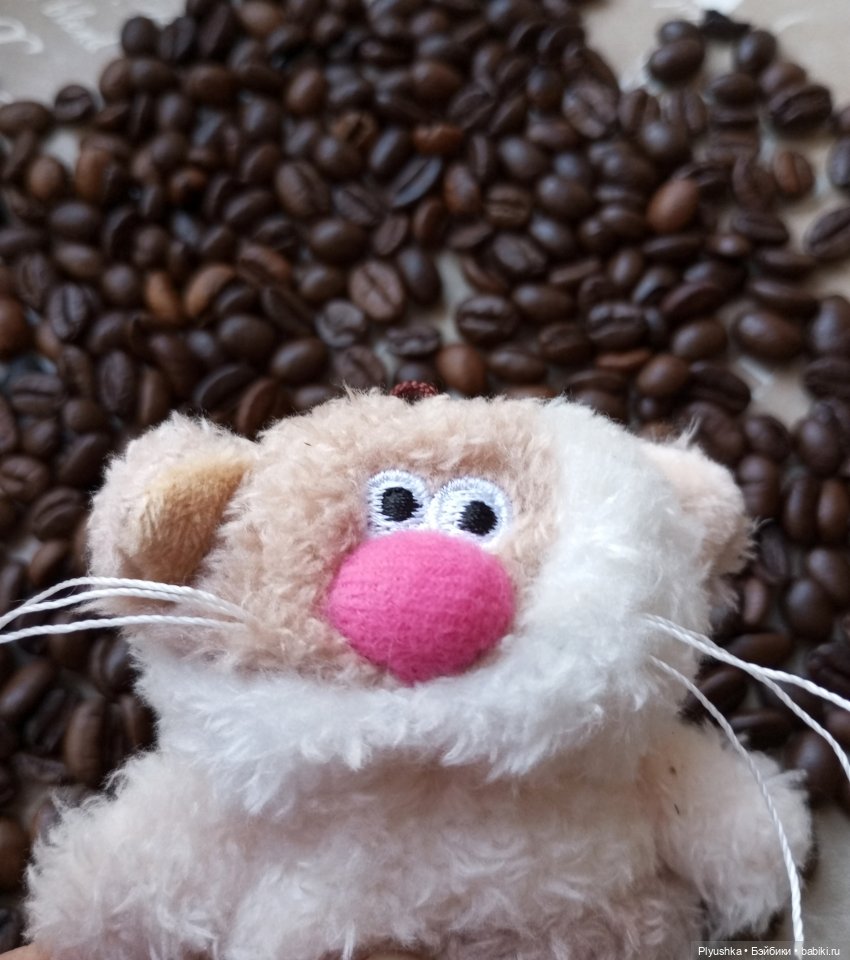 Латте — Кот Басик (фото 6)