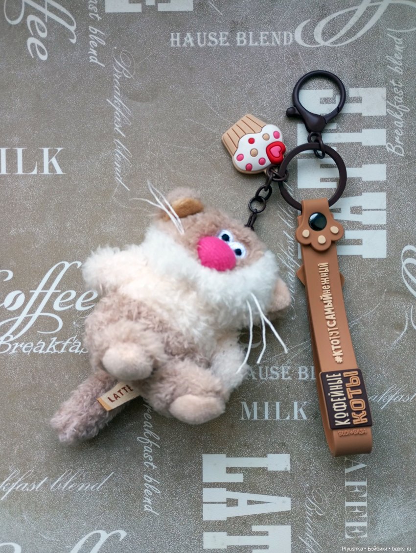 Латте — Кот Басик (фото 3)