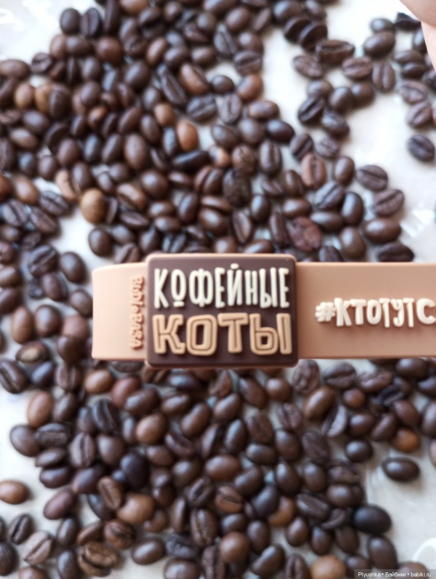 Латте — Кот Басик (фото 7)