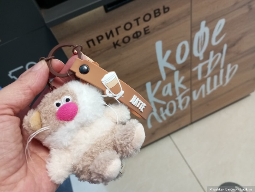 Латте — Кот Басик (фото 9)