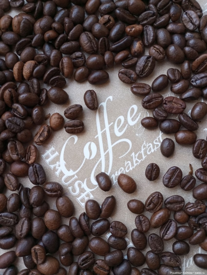 Латте — Кот Басик (фото 4)