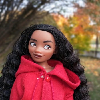 Солнечный осенний денёк 🍁 🍂