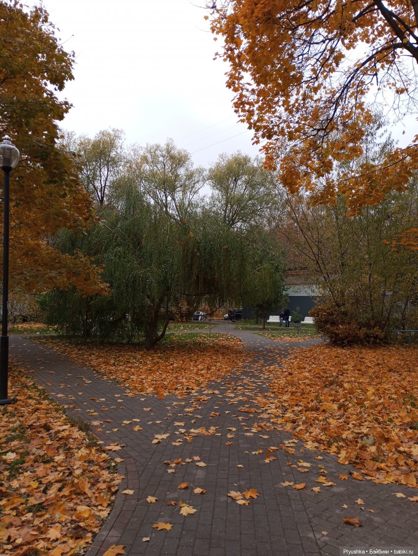 Такая разная осень: Блу & Ви | Бэйбики Такая разная осень: Блу & Ви