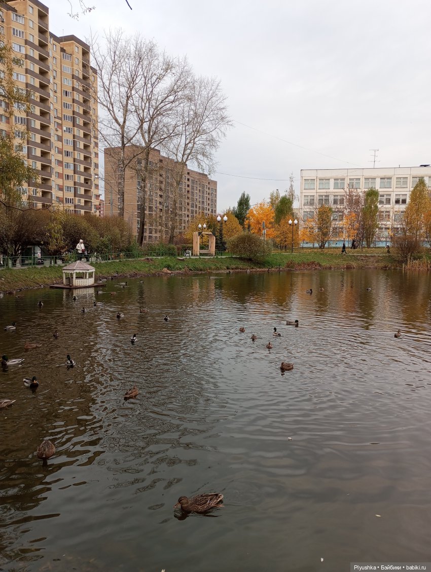 Такая разная осень: Блу & Ви | Бэйбики Такая разная осень: Блу & Ви (фото 2)