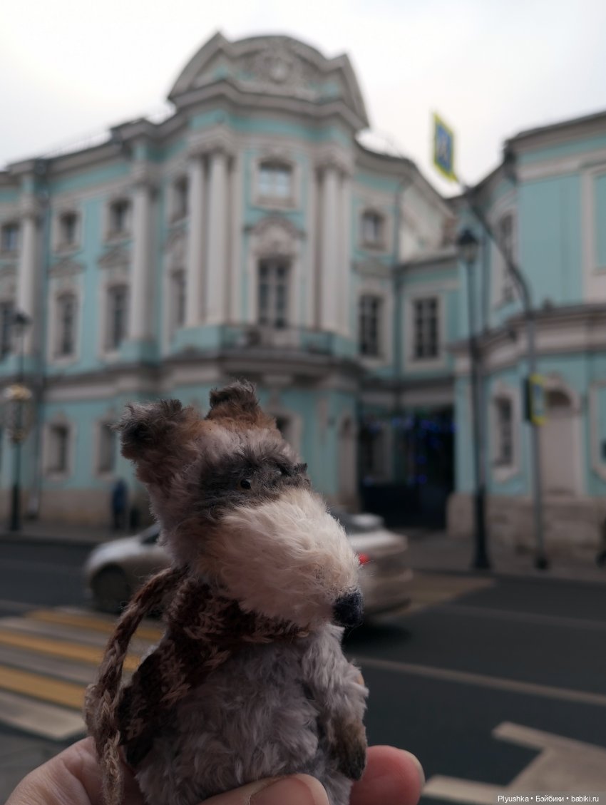 По улицам Москвы с енотом Боней (фото 9)