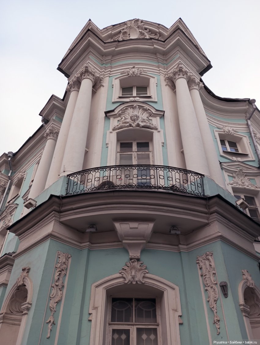 По улицам Москвы с енотом Боней (фото 4)