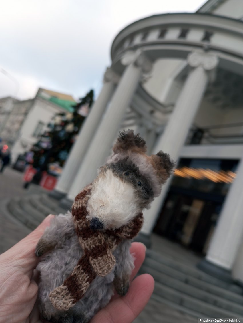 По улицам Москвы с енотом Боней