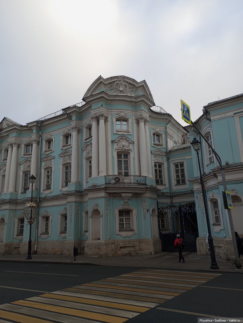 По улицам Москвы с енотом Боней (фото 7)