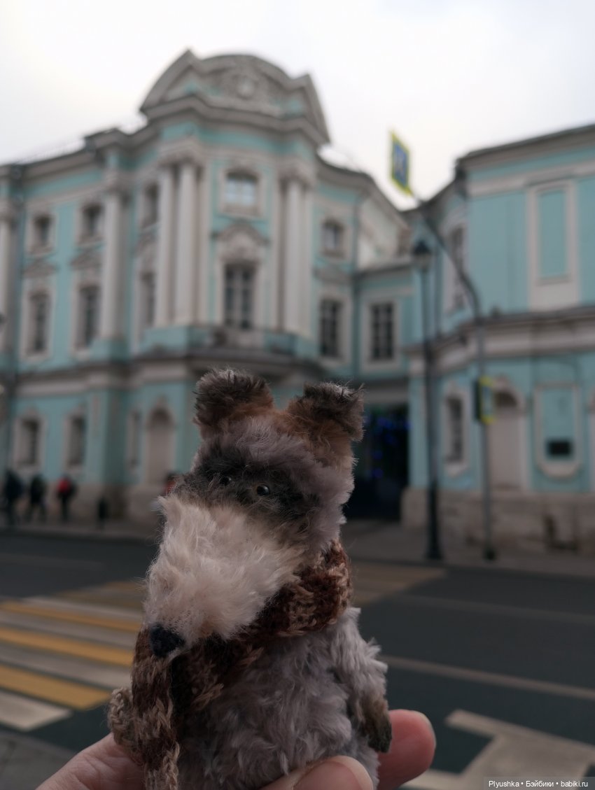 По улицам Москвы с енотом Боней (фото 8)