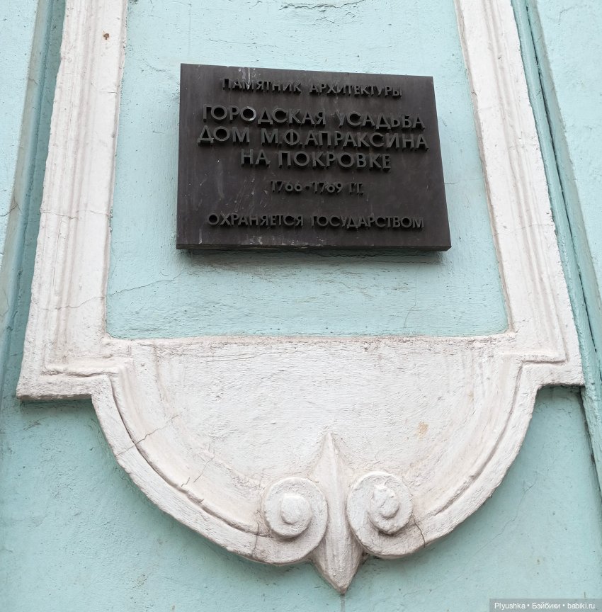 По улицам Москвы с енотом Боней (фото 2)