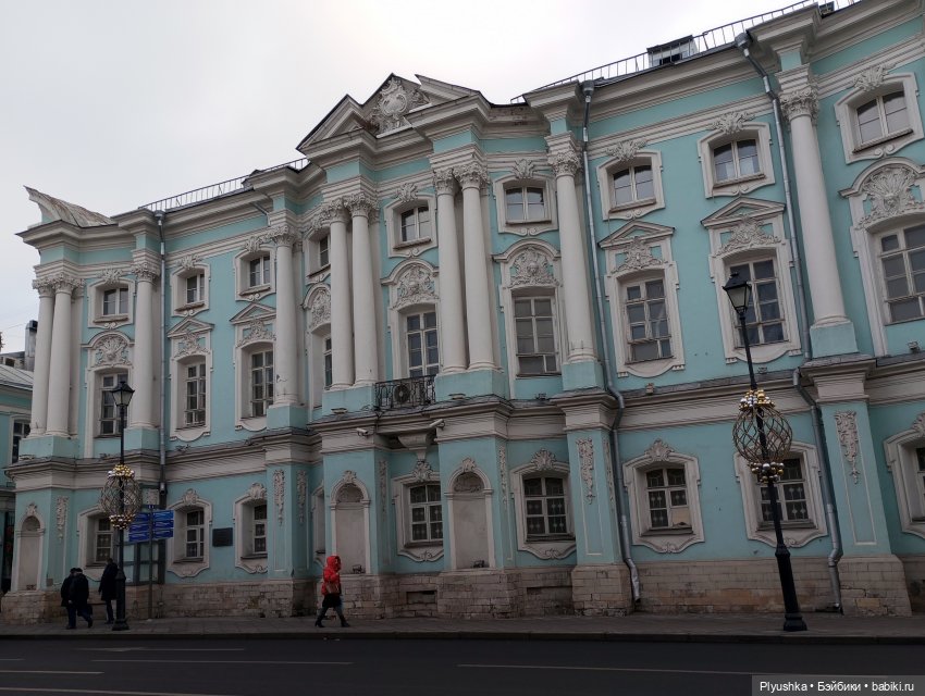 По улицам Москвы с енотом Боней (фото 3)