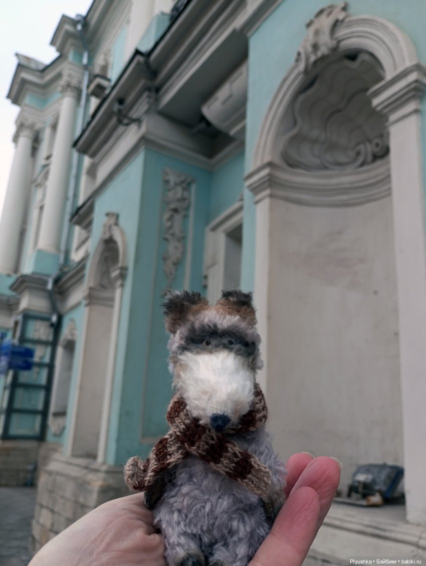 По улицам Москвы с енотом Боней (фото 6)