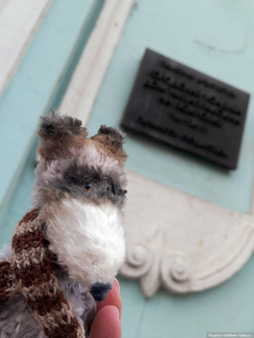 По улицам Москвы с енотом Боней