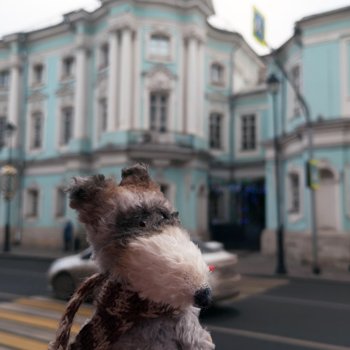 По улицам Москвы с енотом Боней