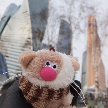 Насыщенный декабрь Кофейного кота Латте