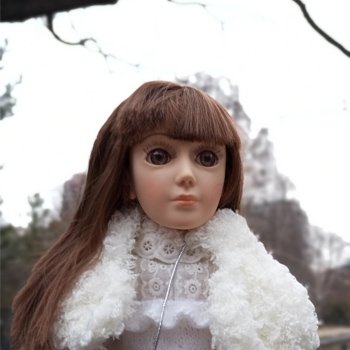 Камелия, Аптекарский огород и январские подснежники