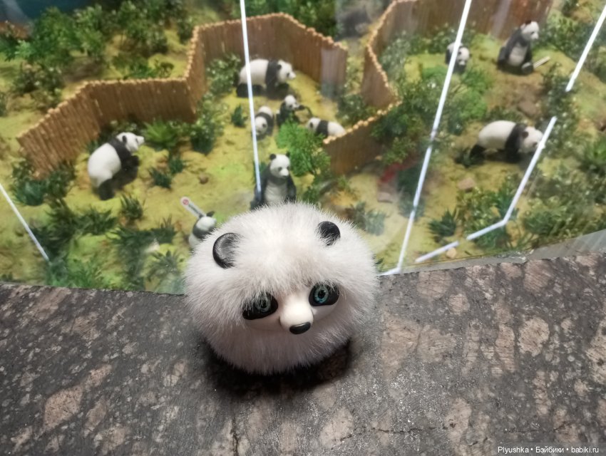 Жизнь Панды Бу: ч.1 - Лето (фото 4)