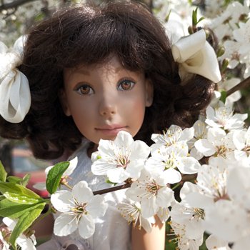 Вишня цветёт