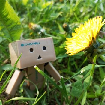 Новый сумочный житель