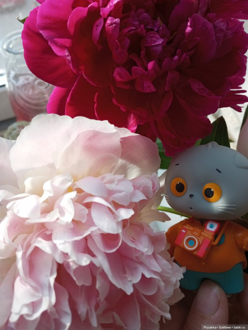 Цветы и куклы — Красивая природа и цветы: фото пейзажей