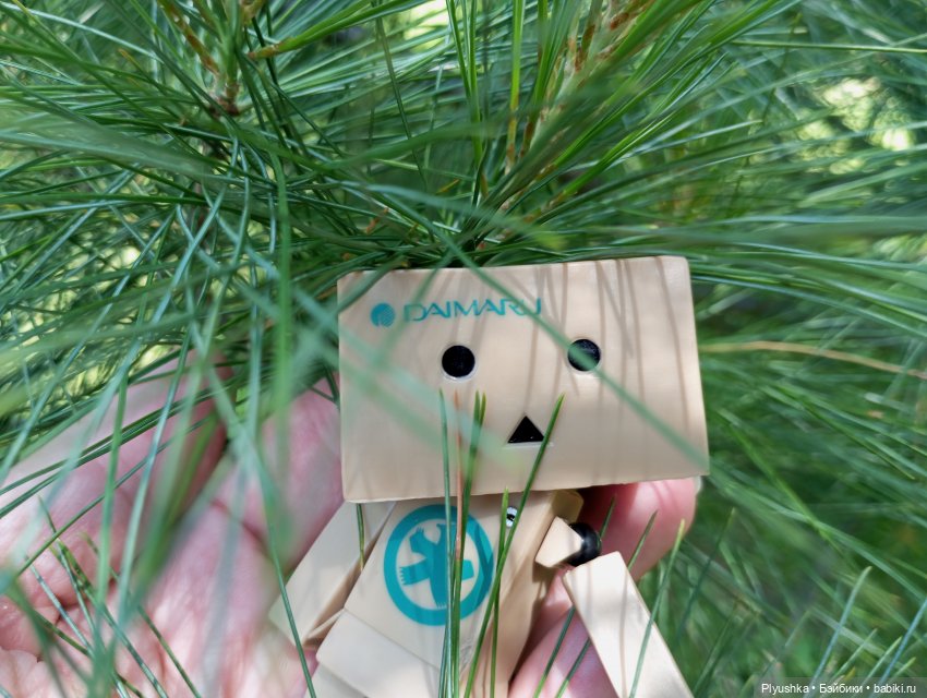 Цветы и куклы — Красивая природа и цветы: фото пейзажей