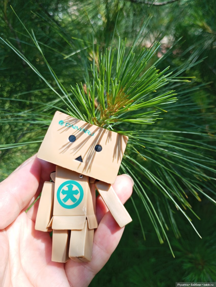 Цветы и куклы — Красивая природа и цветы: фото пейзажей