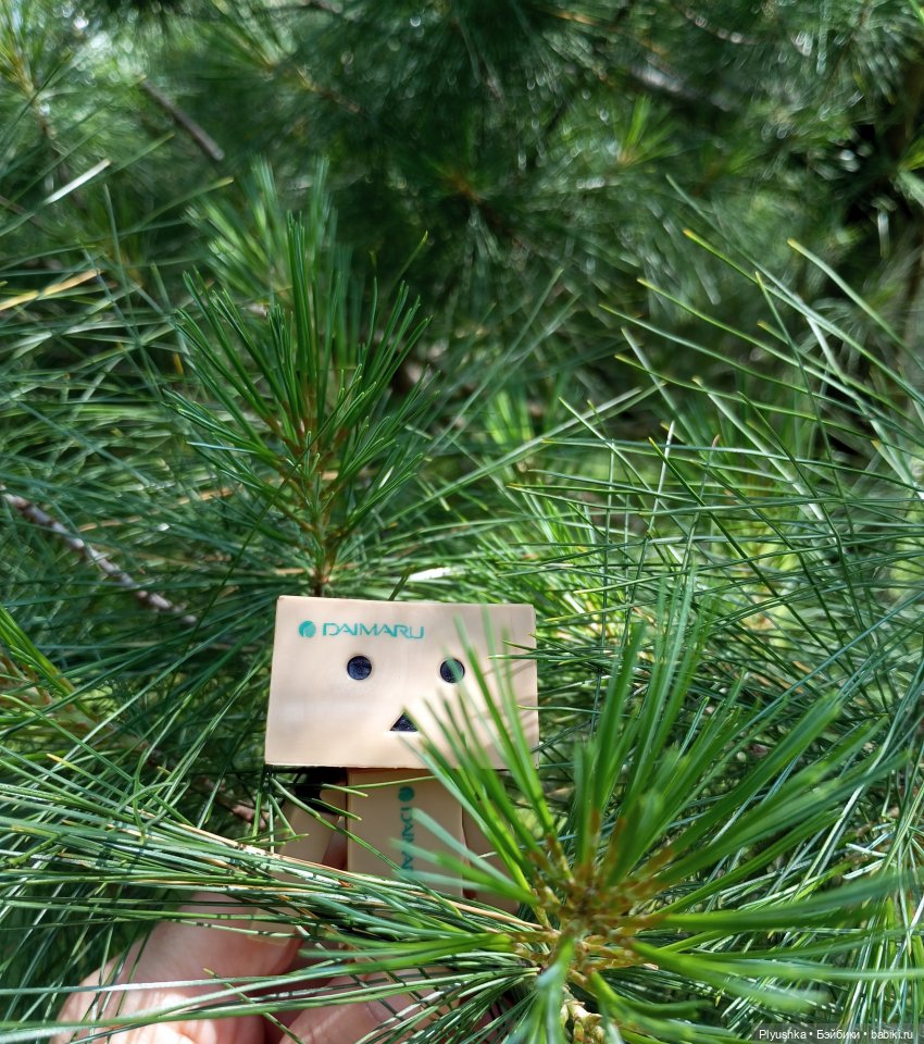 Цветы и куклы — Красивая природа и цветы: фото пейзажей