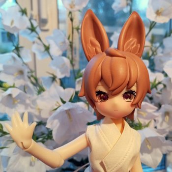 Цветы и куклы