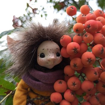 Аука изучает мир