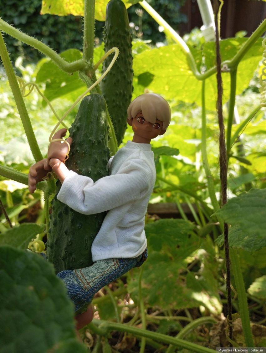 Ах, дача — Экшн (фото 4)