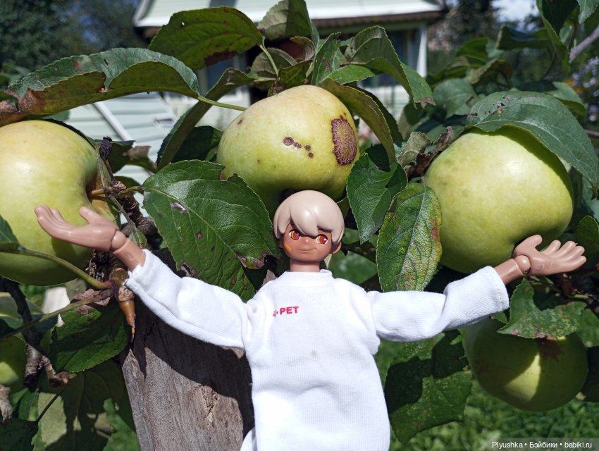 Ах, дача — Экшн (фото 5)