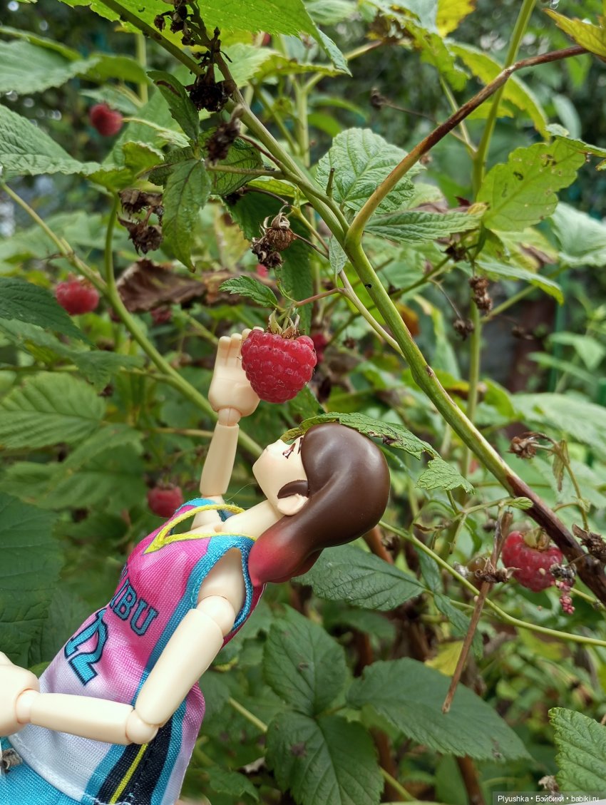 Ах, дача — Экшн