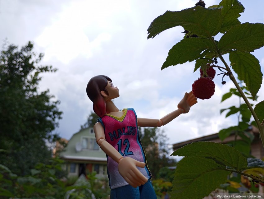 Ах, дача — Экшн (фото 2)