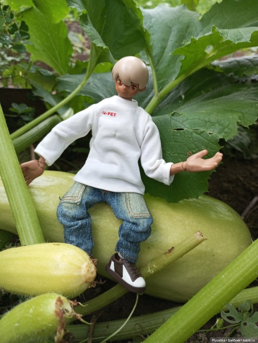 Ах, дача — Экшн