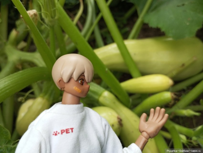 Ах, дача — Экшн (фото 10)