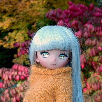 Что такое Момидзигари