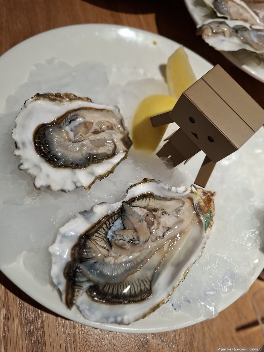 Приключения маленькой коробочки Данбо