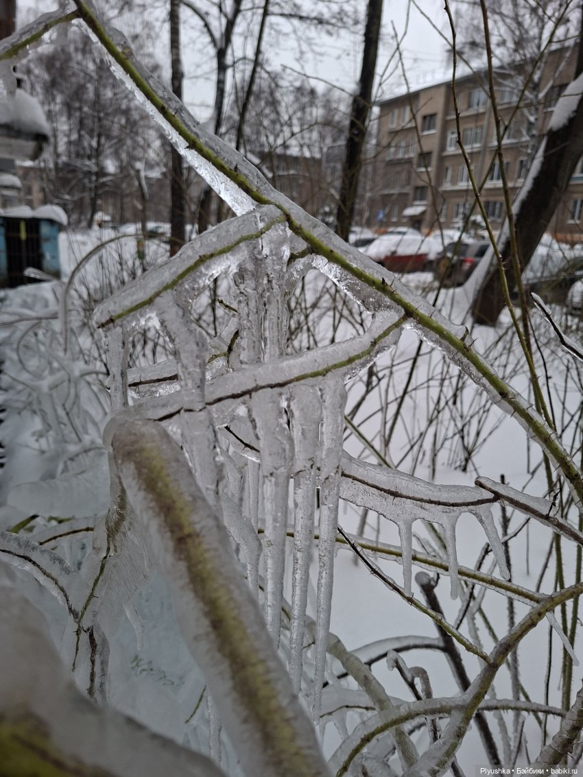 Один зимний день Марты — Домашние фото авторских кукол: личные коллекции (фото 4)